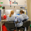 Maternal Fetal Medicine Research Unit