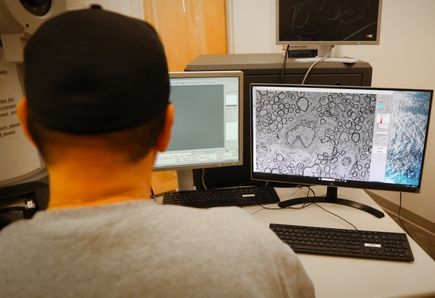 Multiscale Microscopy Core