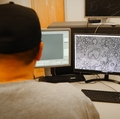 Multiscale Microscopy Core