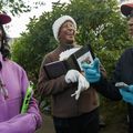 Walking reminiscing benefit brain health in older Black adults