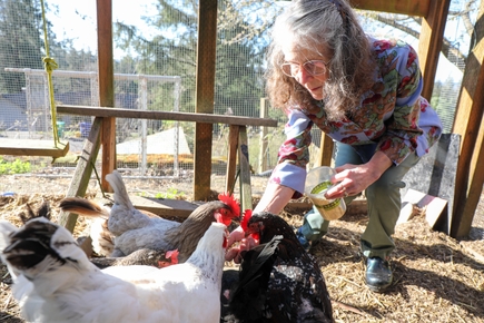 Valerie Clappison con sus gallinas