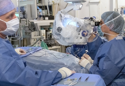 Participants of pioneering CRISPR gene editing trial see vision improve