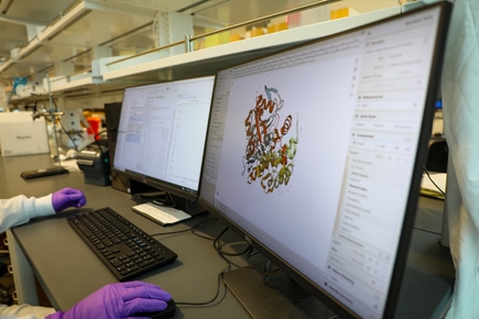 Center for Experimental Therapeutics translates lab discoveries to treatments