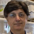 Sanjay Malhotra lab at the OHSU Knight Cancer Institute