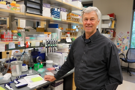 Klaus Früh, Ph.D.
