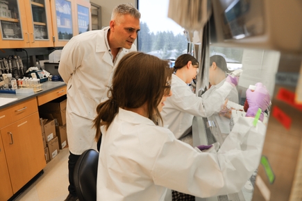Una nueva investigación podría conducir a una vacuna universal contra la gripe