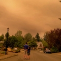 En un estudio de OHSU se descubre que la mala calidad del aire producida por incendios forestales puede afectar tratamientos de fertilidad