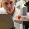 Research is leading the way to a universal influenza vaccine