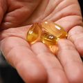 Study examines effect of fish oil in older adults’ brains