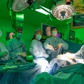 Fetoscopic NTD Surgery Simulation