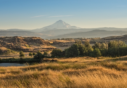 PNW research institutes awarded $2.5 million in federal funds to advance health equity through research with rural primary care practices 