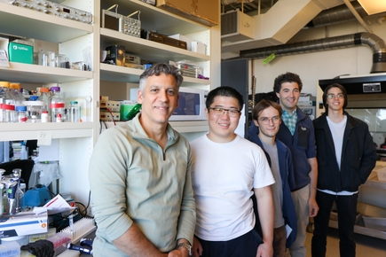 Mansoor laboratorio