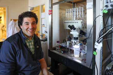 Mansoor laboratorio