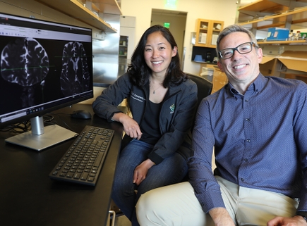Se revelan por primera vez vías de eliminación de desechos del cerebro