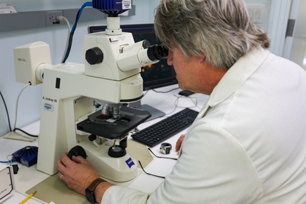 Un compuesto natural encontrado en las flores detiene la progresión de la EM y algunos cánceres