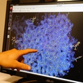 A cryo-EM map in Mansoor Lab
