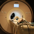 Advanced Imaging Research Center (AIRC) at the Lamfrom Biomedical Research Building