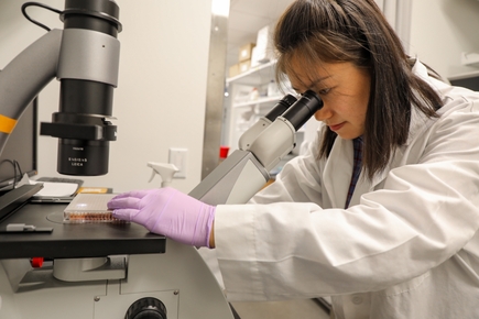 Haijiao Zhang, M.D., research in lab