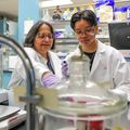 Northern Mariana Islands students gain experience discover passion with OHSU research projects 1