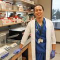 Investigadores crean modelo de laboratorio que podría conducir a nuevos métodos anticonceptivos no hormonales