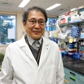 Hiroyuki Nakai, M.D., Ph.D., tiene cabello negro corto, lacio, anteojos y bata blanca. Él está sonriendo en el laboratorio.