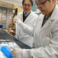 El laboratorio de Hiroyuki Nakai, M.D., Ph.D.