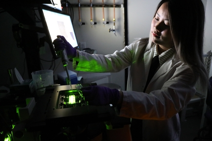 Laboratorio Nan en el Knight Cancer Institute