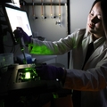 Laboratorio Nan en el Knight Cancer Institute