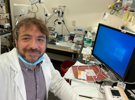 Domenico Tupone, Ph.D. (Courtesy)
