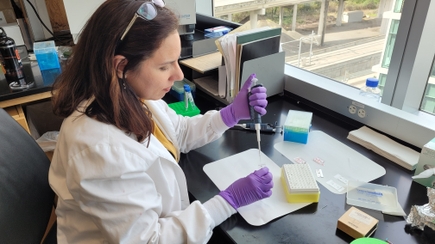 Un nuevo estudio identifica cómo las disfunción de vasos sanguíneos puede empeorar enfermedades crónicas