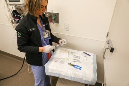 Chronic pain management