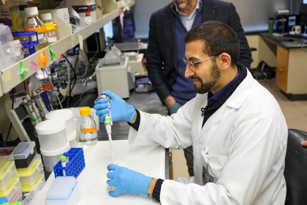 Un avance en materia de septicemia podra significar mejores tratamientos para pacientes en estado crtico 1