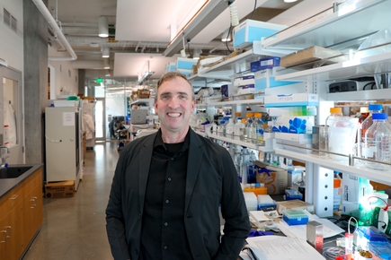Investigadores de OHSU usan aprendizaje automático con IA para mapear interacciones moleculares ocultas en bacterias 
