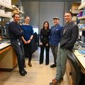 Investigadores de OHSU identifican propiedades protectoras del líquido amniótico