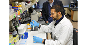 Does Protein Increase Testosterone? The Science Behind Protein Intake and Hormone Health