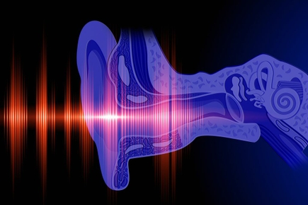 Study maps brain’s ability to comprehend sound, could lead to new hearing loss therapies