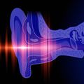 Un estudio mapea la capacidad del cerebro para comprender el sonido y podría conducir a nuevas terapias para la pérdida auditiva