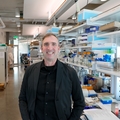 Molecular connections could improve drug discovery cancer research