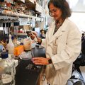 Glaucoma research