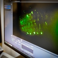 An oft-overlooked cell brain cell could help prevent disease, develop treatments