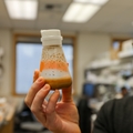 OHSU study reveals impact of oft-overlooked cell in brain function