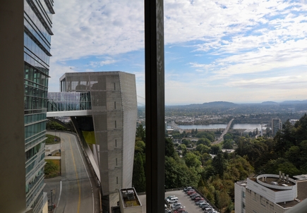 A view from the new building