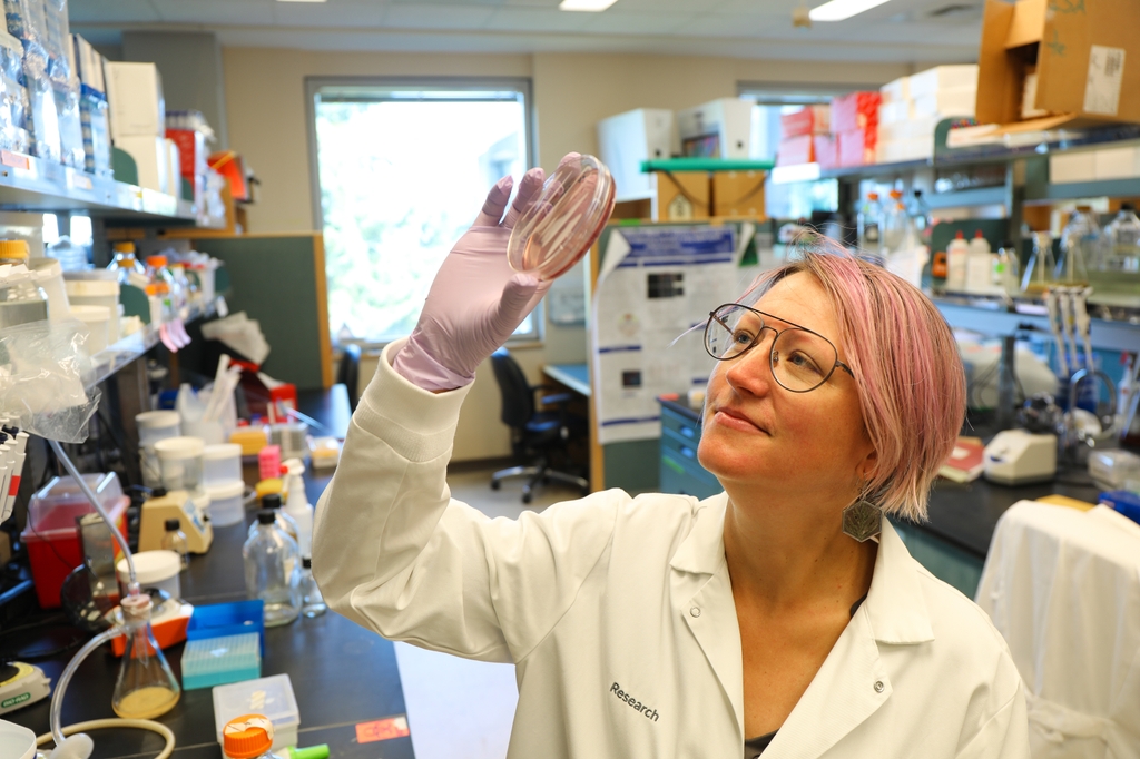 Isabella Rauch, Ph.D., is the senior author on a new study published in Nature that reveals how a dangerous strain of E. coli blocks the body's immune defenses to spread infection. (OHSU/Christine Torres Hicks) Isabella Rauch, Ph.D. has very short, straight, light pink hair, a white coat, eye glasses, and holding up a petri dish of bacteria.