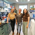 Study: Dangerous E. coli strain blocks gut’s defense mechanism to spread infection