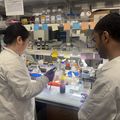 OHSU awarded 1.4 million for new cancer drug development training program