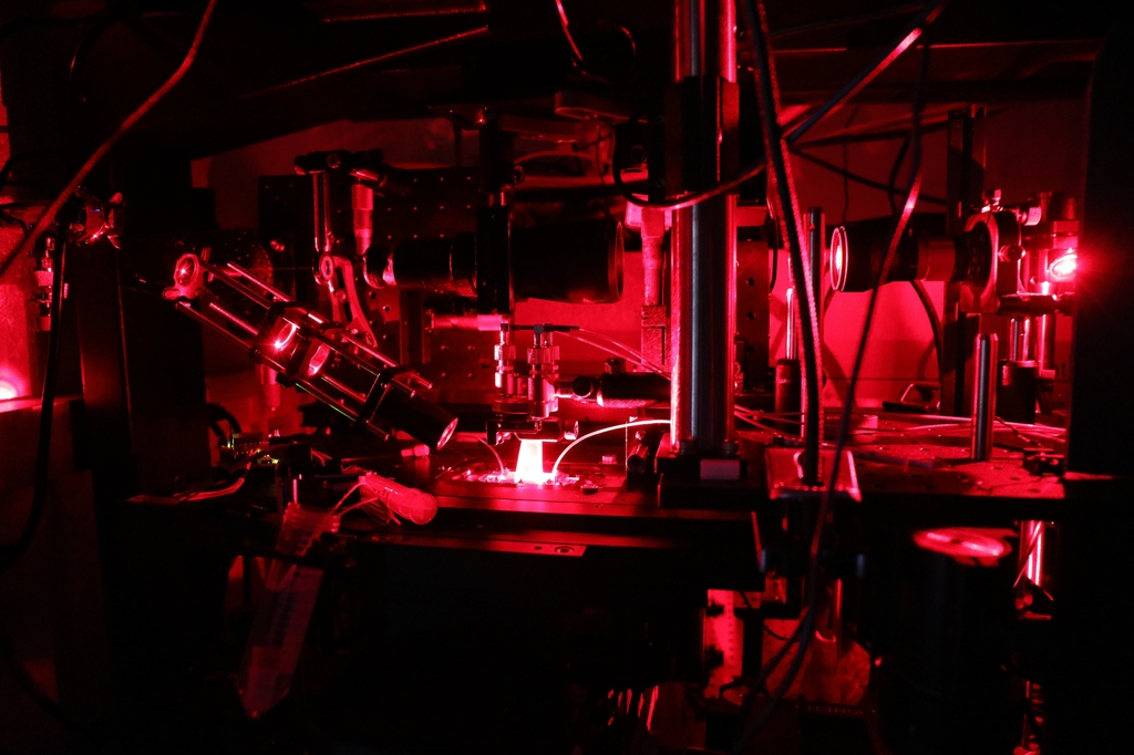 La imagen muestra un equipo en un laboratorio brillando en rojo. Tres científicos de Oregon Health & Science University han recibido fondos sin restricciones para ampliar sus investigaciones de vanguardia con el objetivo final de mejorar la salud humana. (OHSU/Christine Torres Hicks)