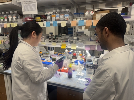 OHSU recibe $1.4 millones para programa de capacitación para desarrollar nuevo medicamento contra el cáncer 