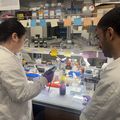 OHSU recibe $1.4 millones para programa de capacitación para desarrollar nuevo medicamento contra el cáncer 
