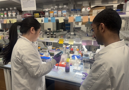 OHSU recibe $1.4 millones para programa de capacitación para desarrollar nuevo medicamento contra el cáncer 