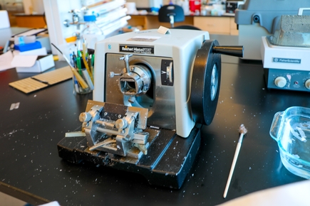 Detección precoz del cáncer: laboratorio de ingeniería biomédica de la OHSU